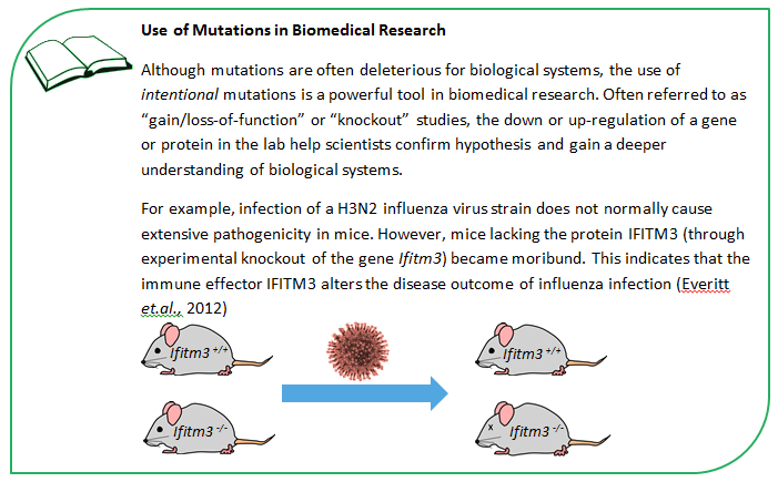 mutation-tips1.fca8aa45